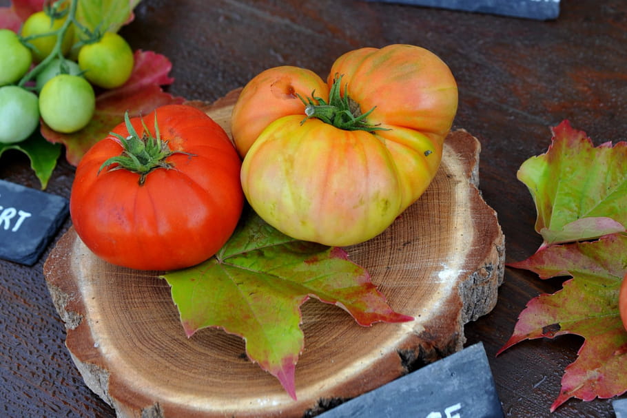 Festival de la Tomate : une édition sous le signe de l'innovation