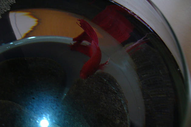 Un peu de soleil pour compenser l'éclairage