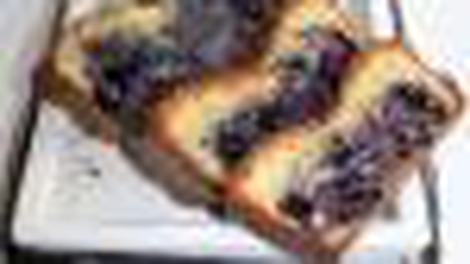 Cake au fromage blanc-myrtilles