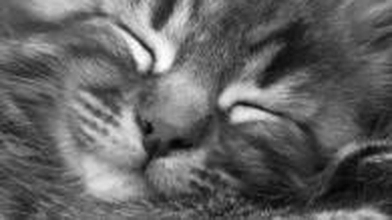 Heureux