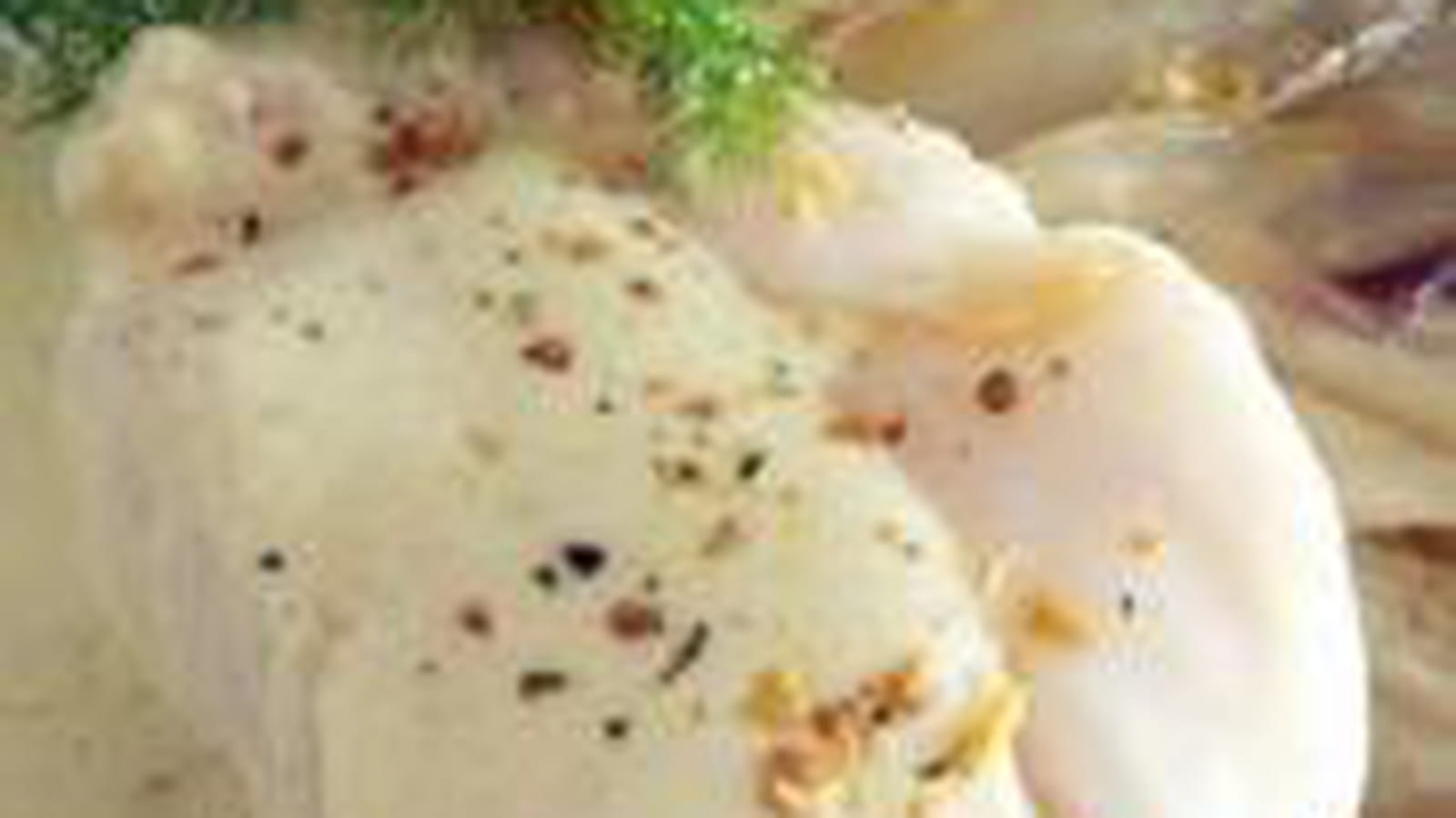 Cabillaud crème coco et endives braisées