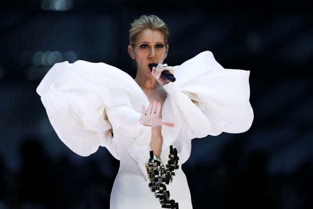 Seul un oiseau blanc