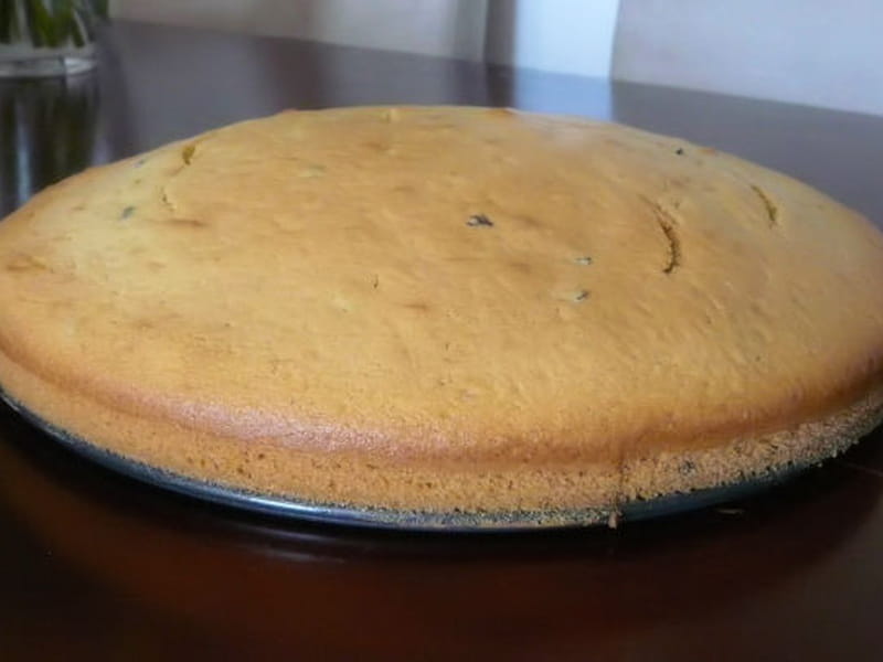 Gateau Moelleux Au Pandan Grue De Cacao Et Lait De Coco