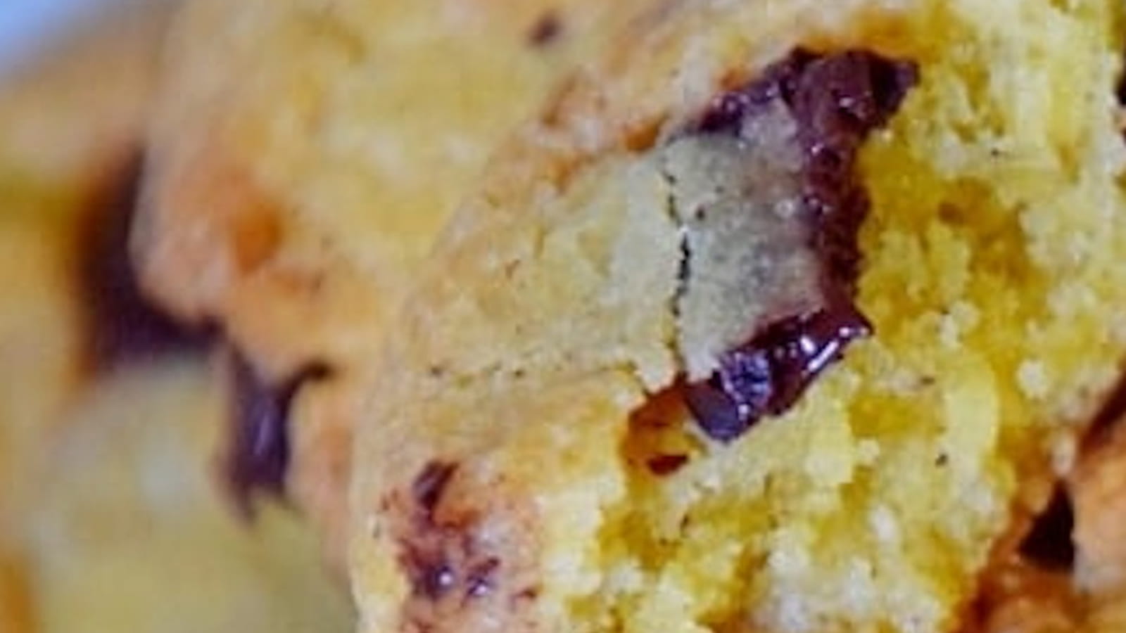 Biscuits au chocolat et noisettes