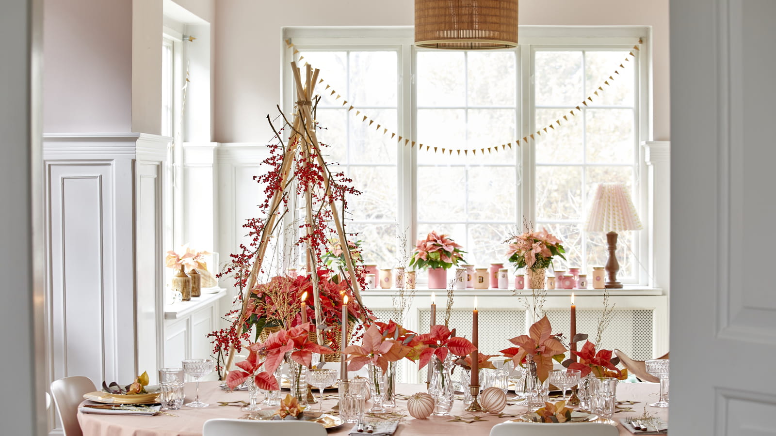 Poinsettias par milliers 