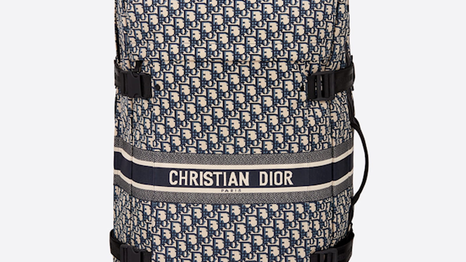 Valise Dior