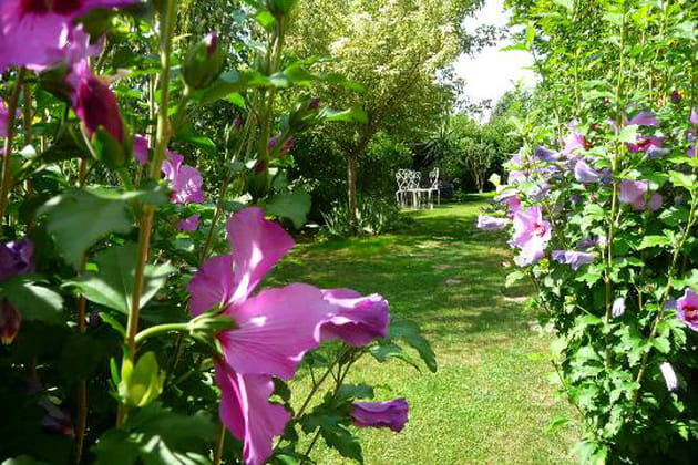 Un jardin de sensations