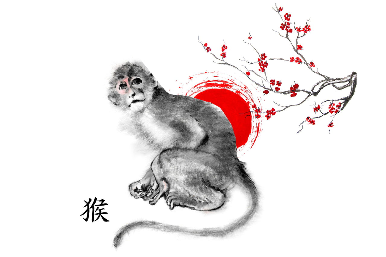 Horoscope chinois Singe 2023 une année gouvernée par l'indépendance