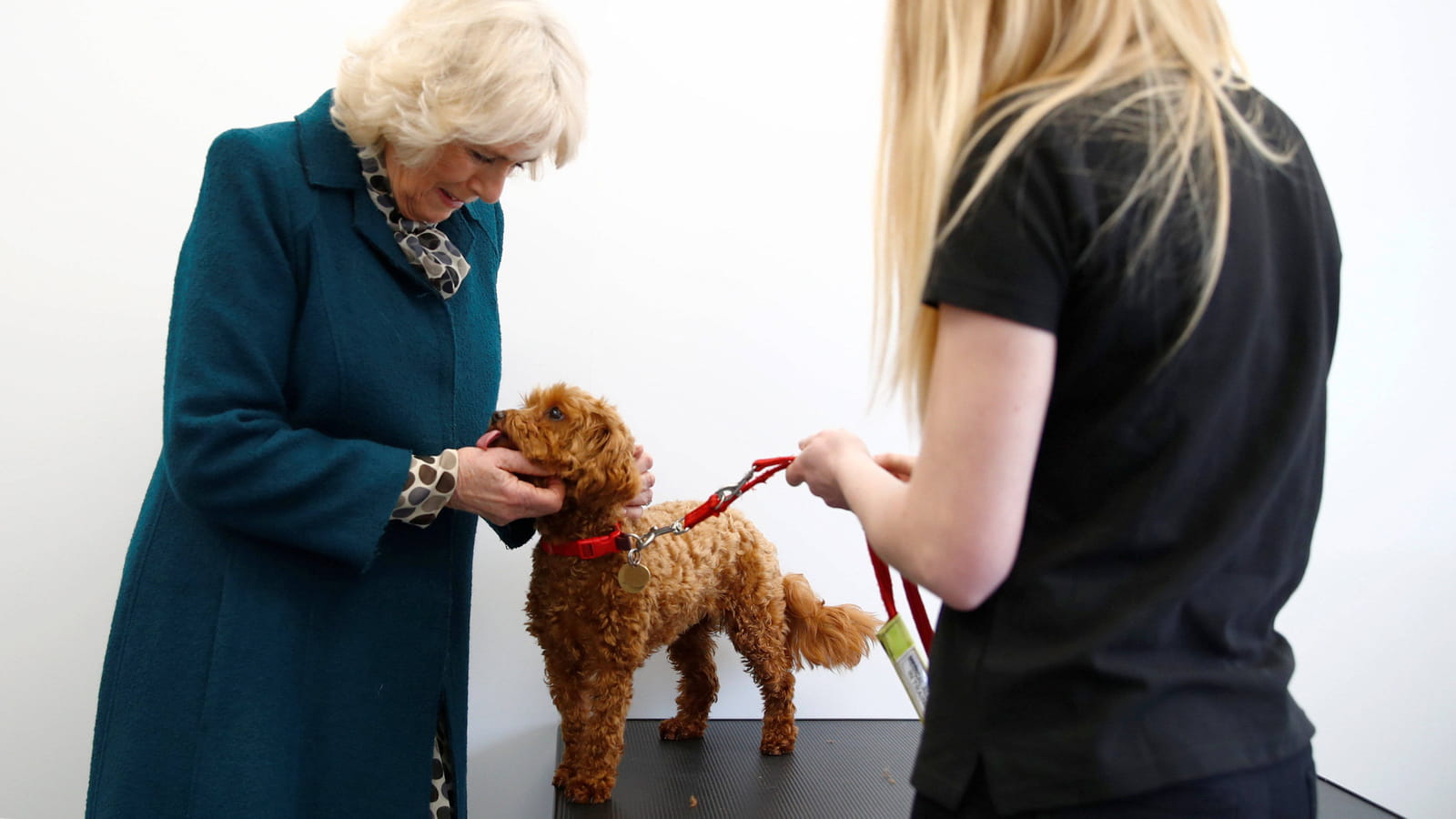 Camilla Parker Bowles