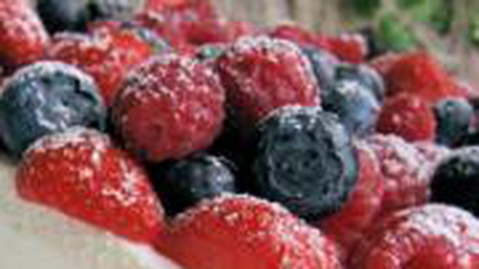 Bavarois au fromage blanc et aux fruits rouges
