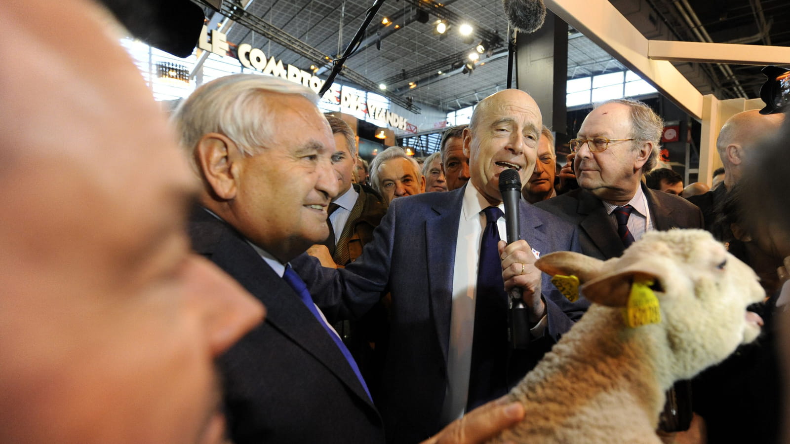 Jean-Pierre Raffarin et Alain Juppé