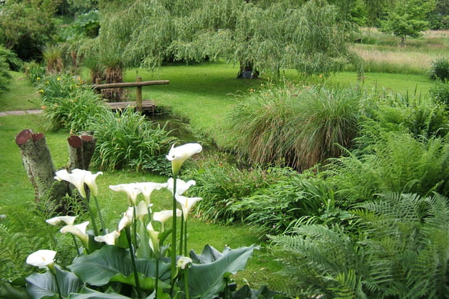 2e prix Bonpland 2013&nbsp;: le jardin de Caradec