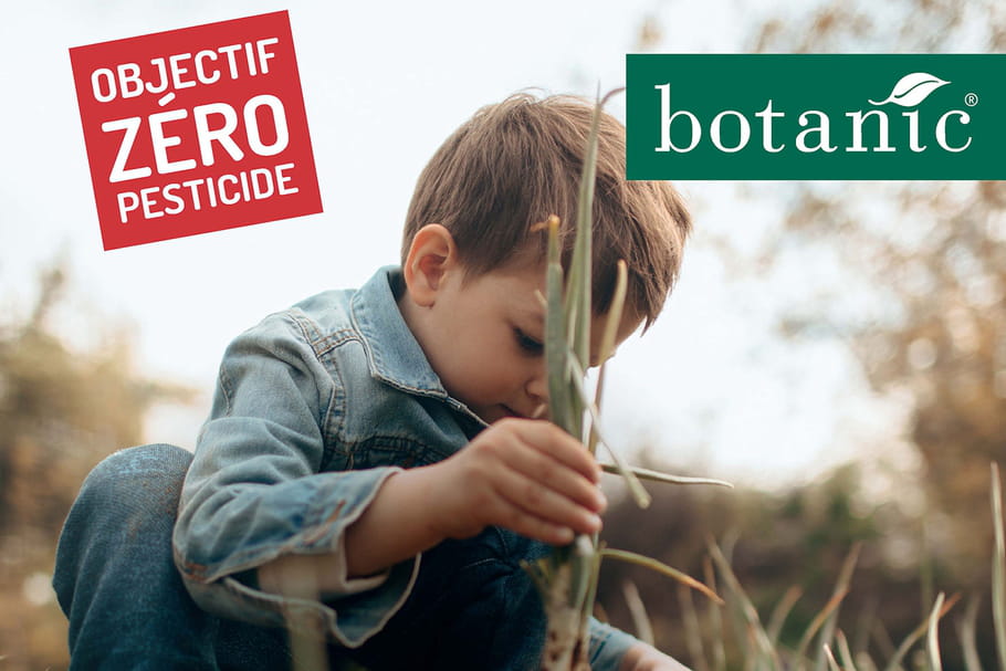 Collecte des pesticides par Botanic : les dates et toutes les infos
