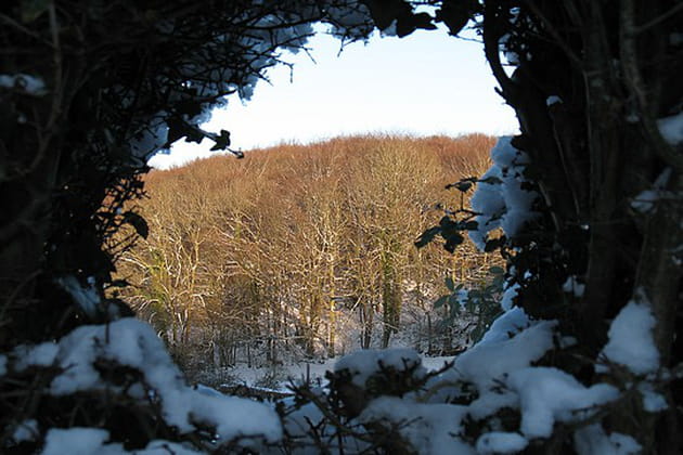 Des paysages enneigés enchanteurs