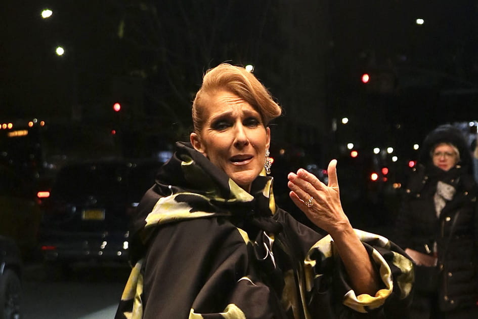 C&eacute;line Dion, chic avec son chignon sophistiqu&eacute;