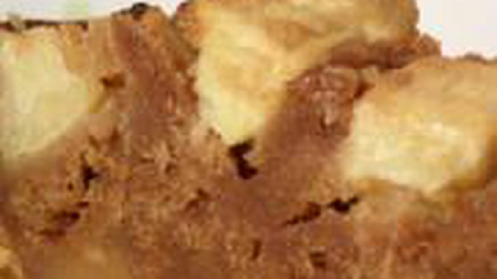 Clafoutis pommes vergeoise Speculoos