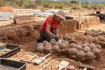 Plus de 100 œufs de dinosaures découverts en France : ce qui se cache à l'intérieur sidère les scientifiques