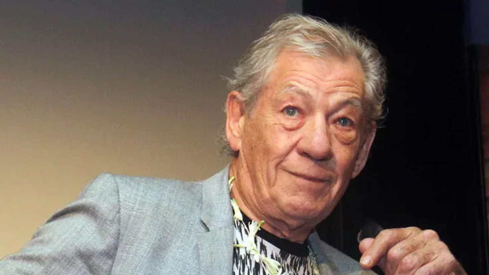 Ian McKellen (Gandalf)