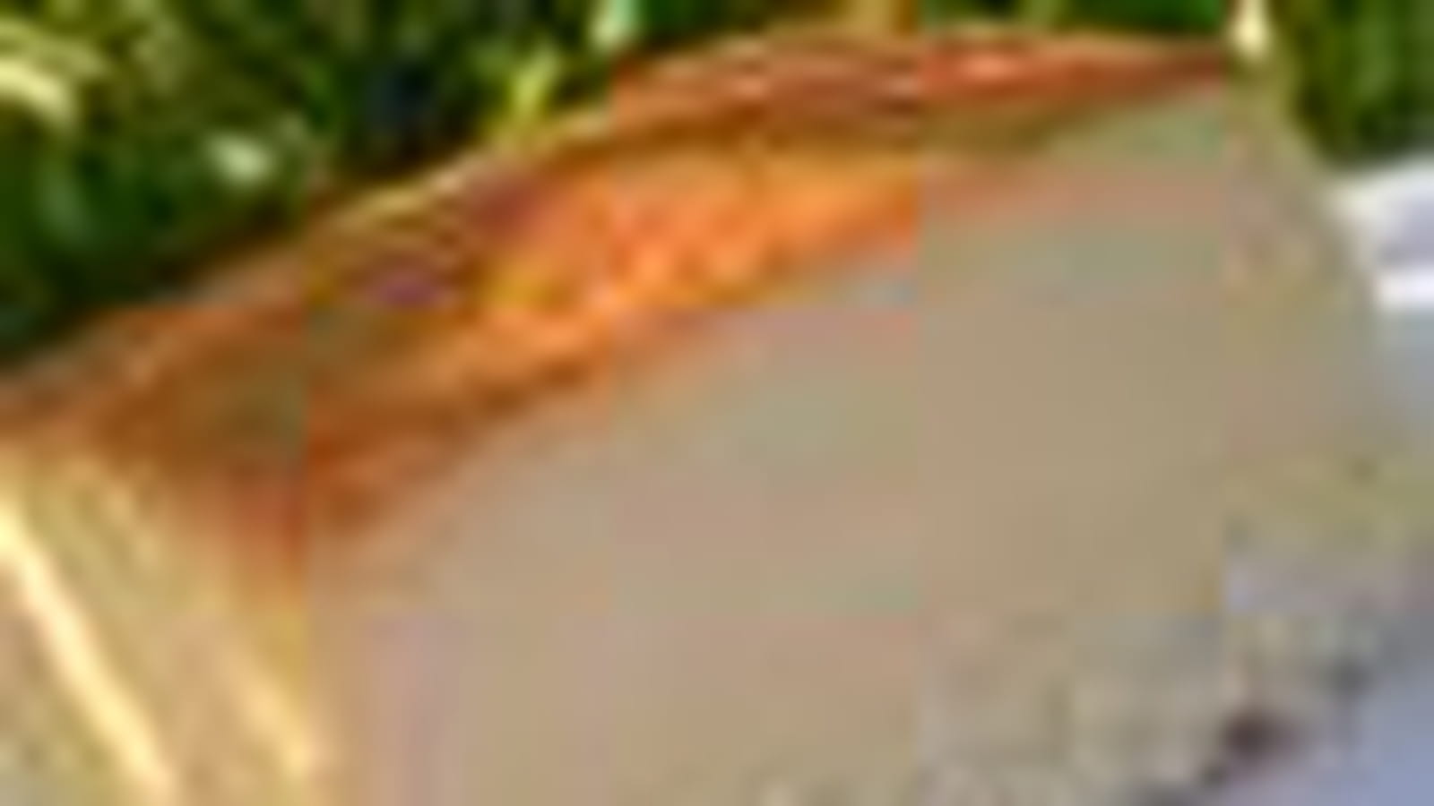 Flan antillais