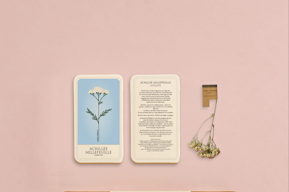 Un coffret de plantes pour nourrir le corps et l'esprit