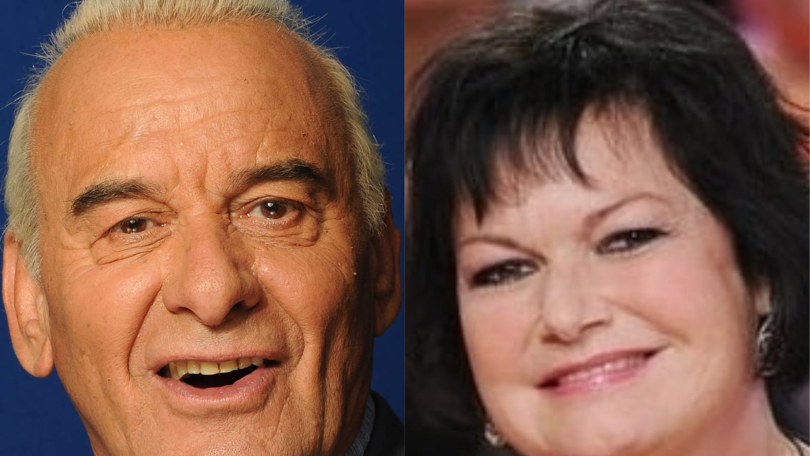 Maurane et Michel Fugain