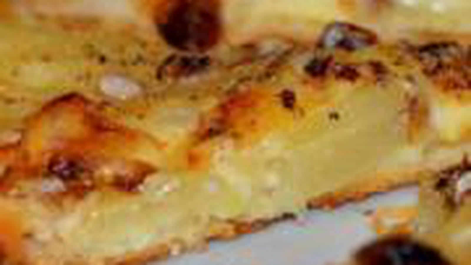 Tartelette fine aux poires et Reblochon