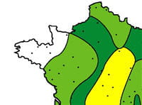le réseau national de surveillance national de surveillance