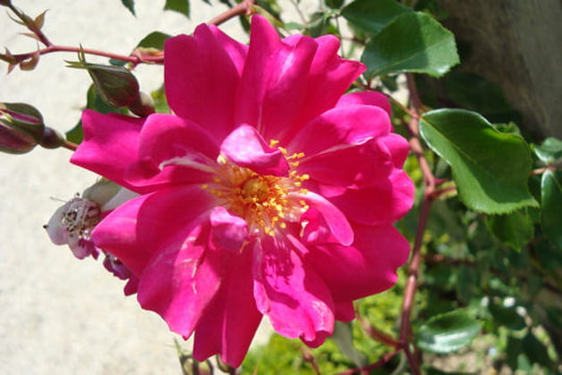 A la recherche constante de lumière