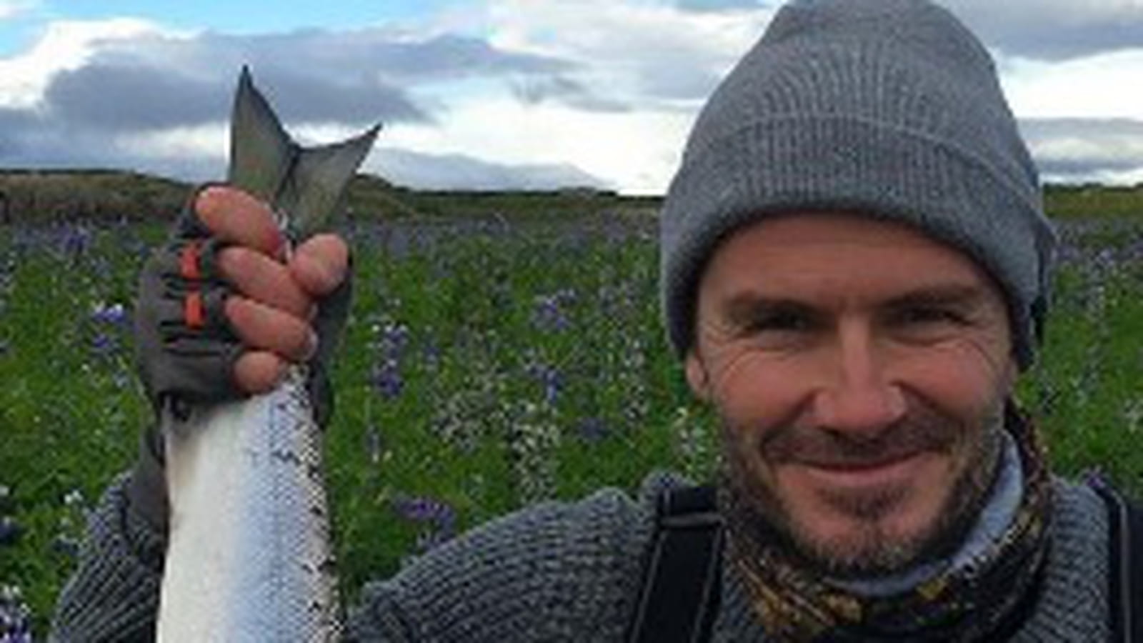 David Beckham   