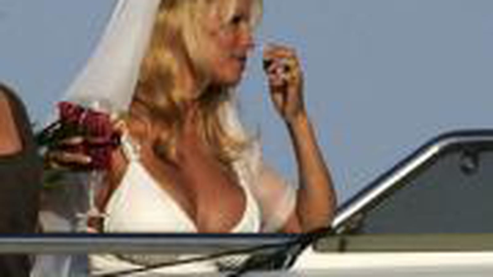 Pamela Anderson