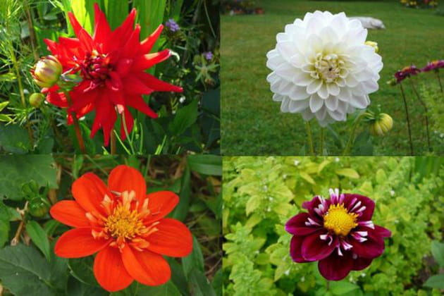 Une palette de couleurs