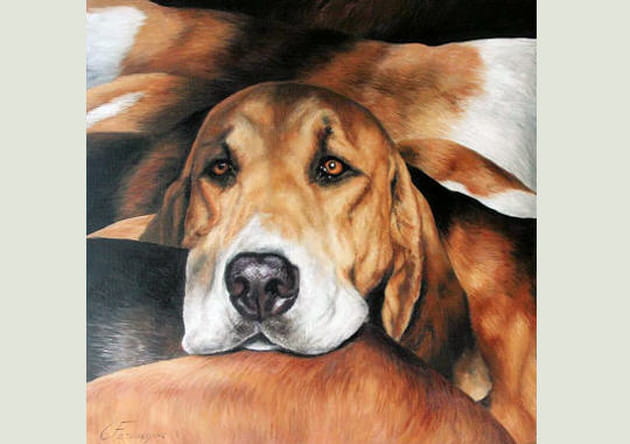 Gros nez et tendresse