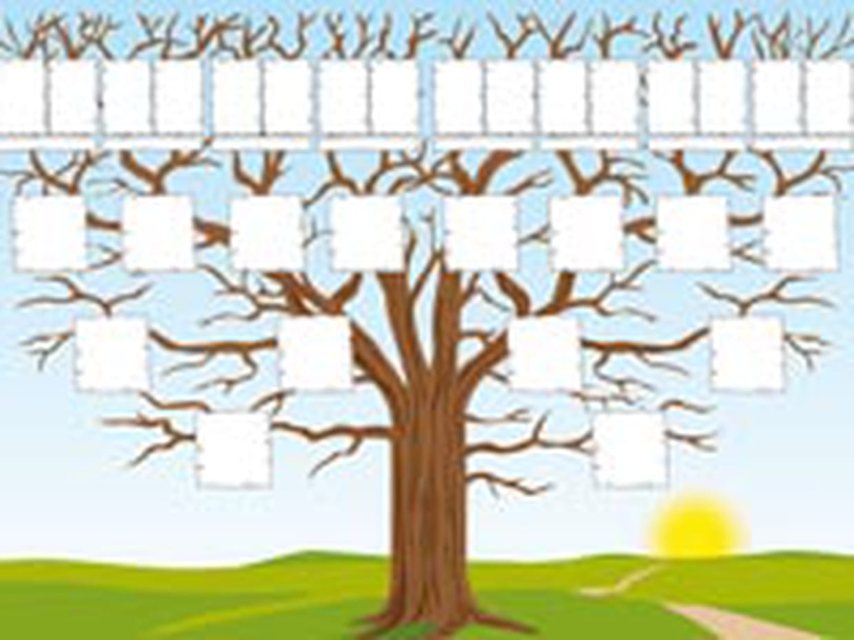 Choisissez Votre Methode