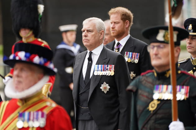 Prince Andrew et prince Harry