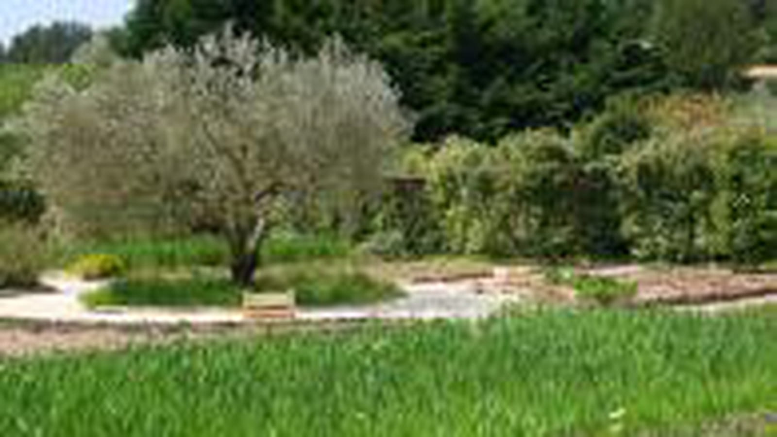 Domaine de Baumanière