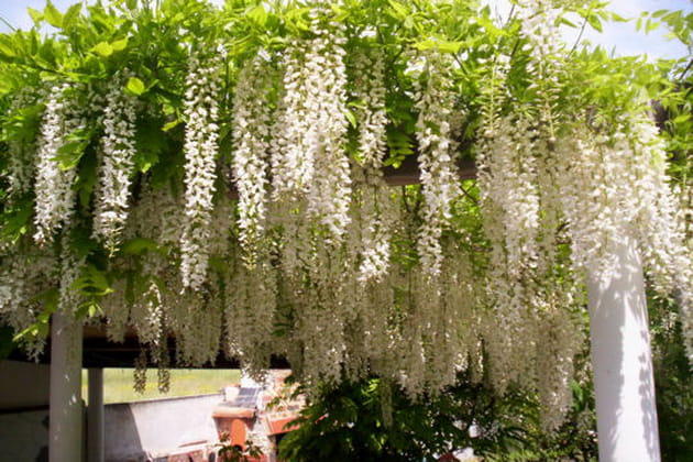 Apporter de la lumi&egrave;re