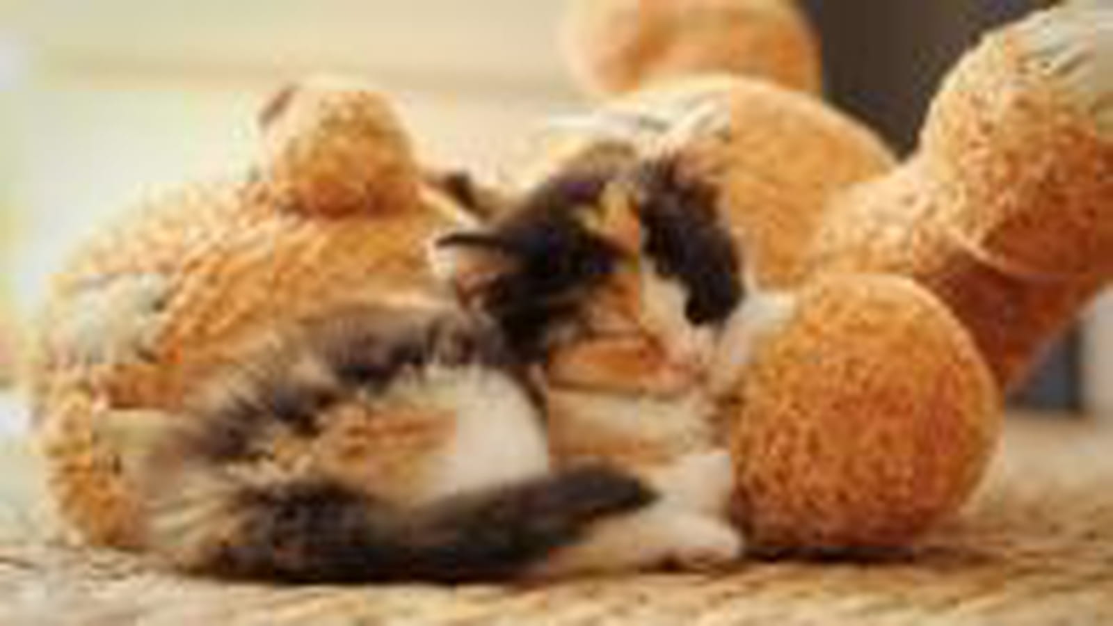 Ours