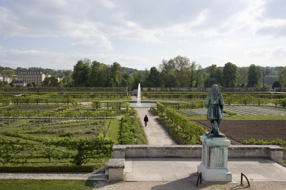 Nocturnes du Potager du Roi : prenez place à la table du Roi Soleil