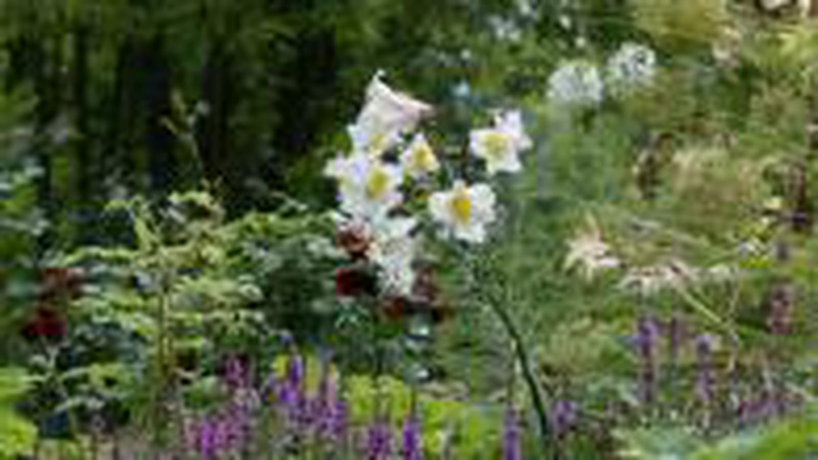 Jardin des Faïences