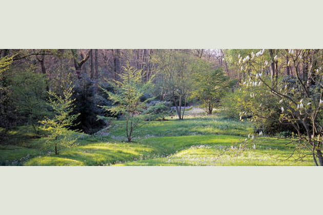 Le jardin laboratoire de Cribier, côte normande
