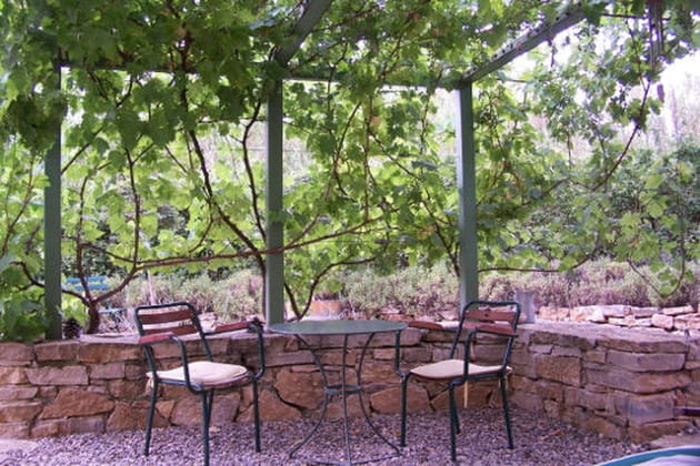 R&ecirc;ver la t&ecirc;te en l'air