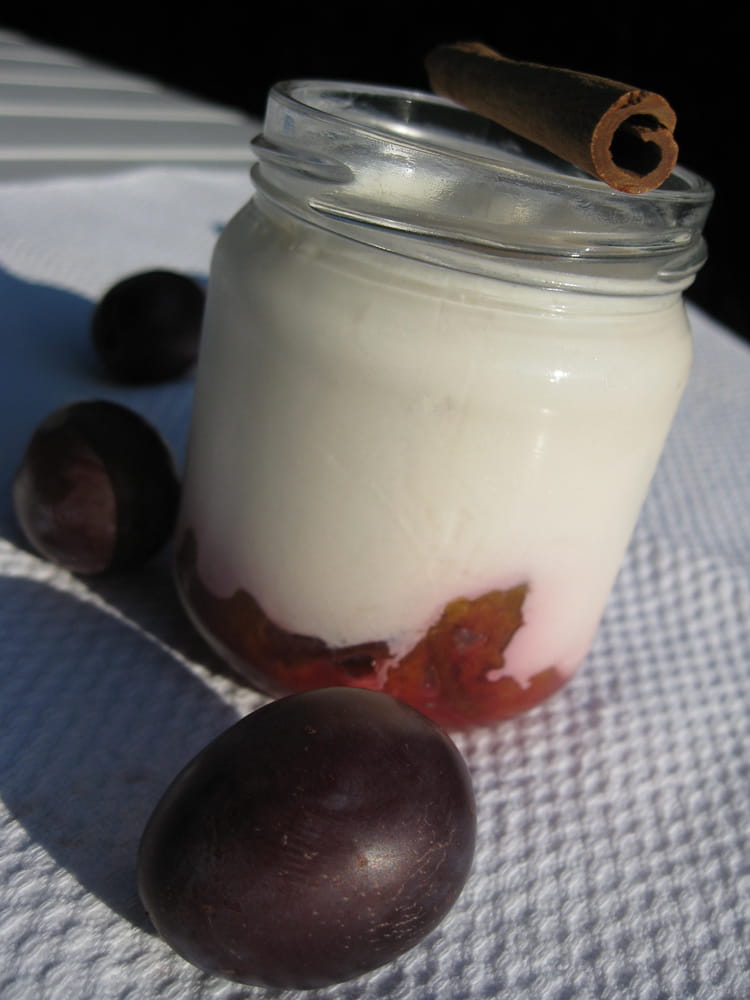 Recette Yaourt sur compote de quetsches à la cannelle