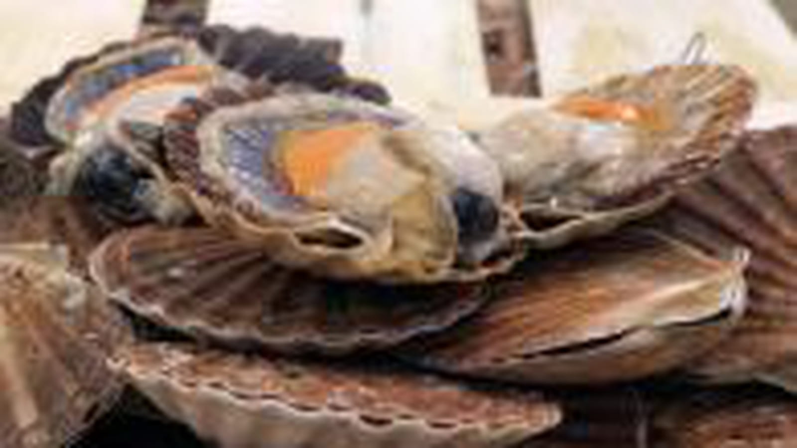 Poissons scandinaves