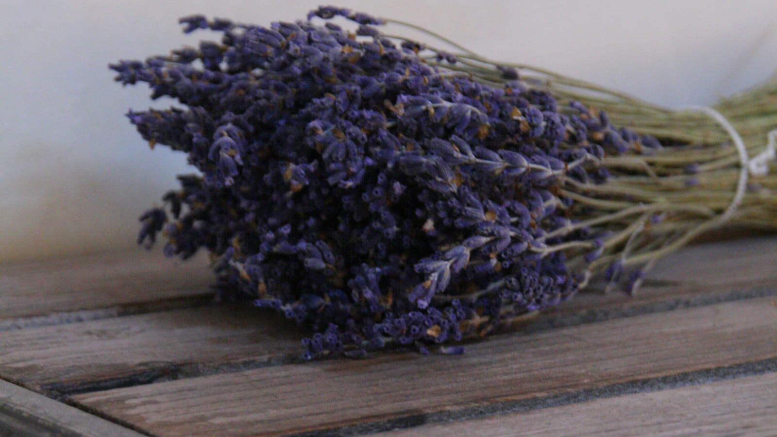 Bouquet de lavande