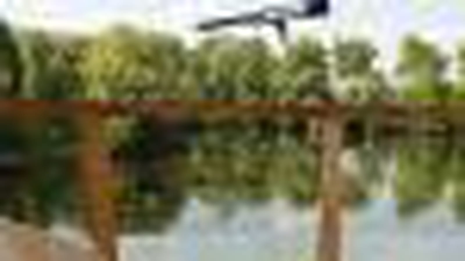 Poste d'observation