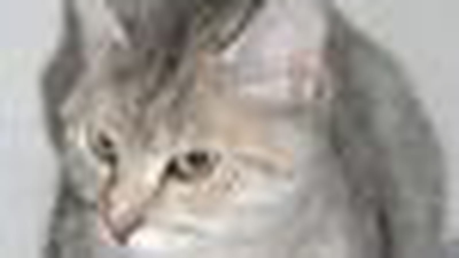 Lilou