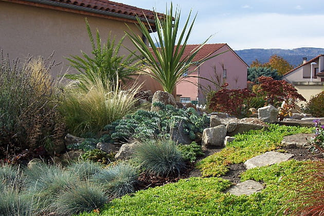 Un floril&egrave;ge d'arbustes