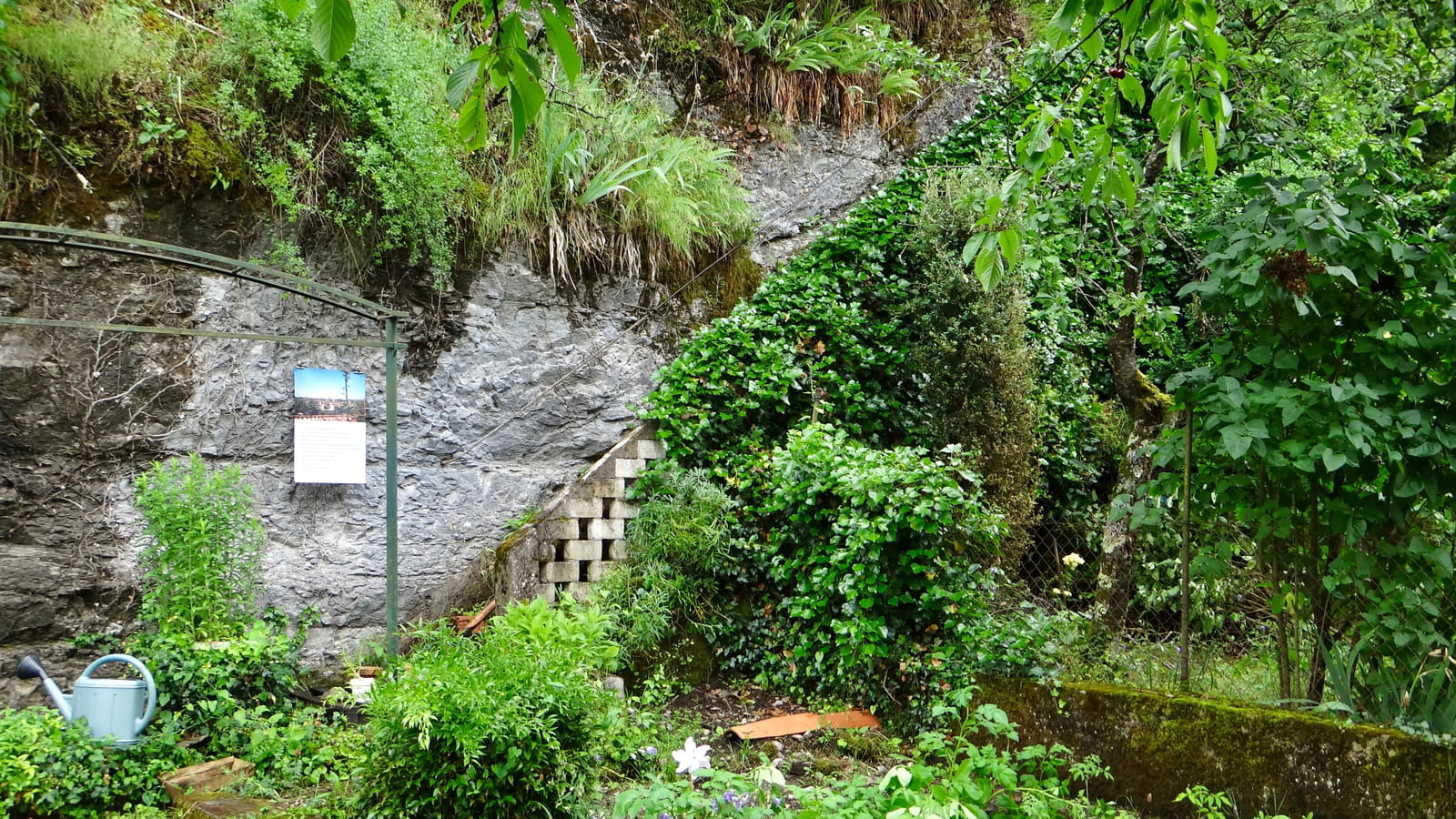 Ilot de verdure
