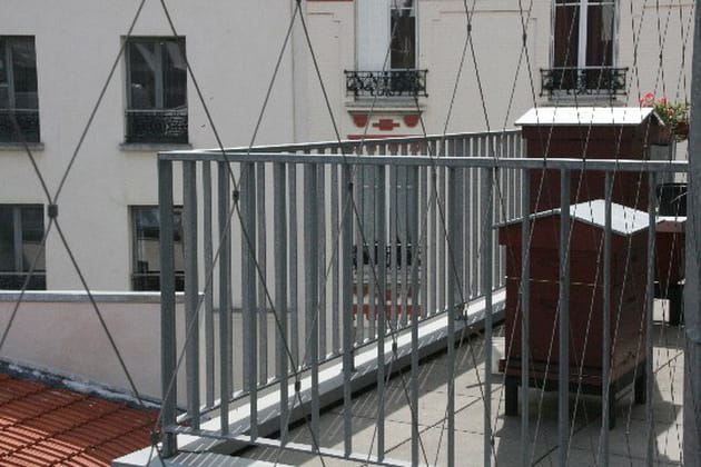 Du miel et des abeilles