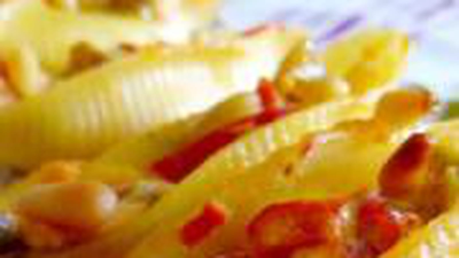 Conchiglie farcis poivrons brocciu
